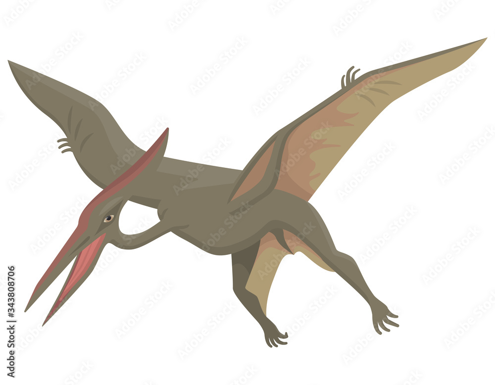 Fototapeta premium Pterodactyl in cartoon style. Predatory dinosaur isolated on white background.