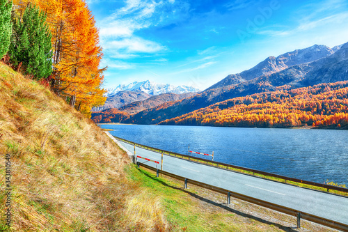 Fantastic autumn scene on  Sils Lake (Silsersee) and asphalt road in the front. © pilat666