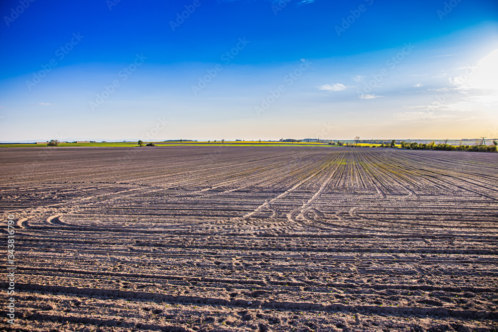 Plowed field and blue sky