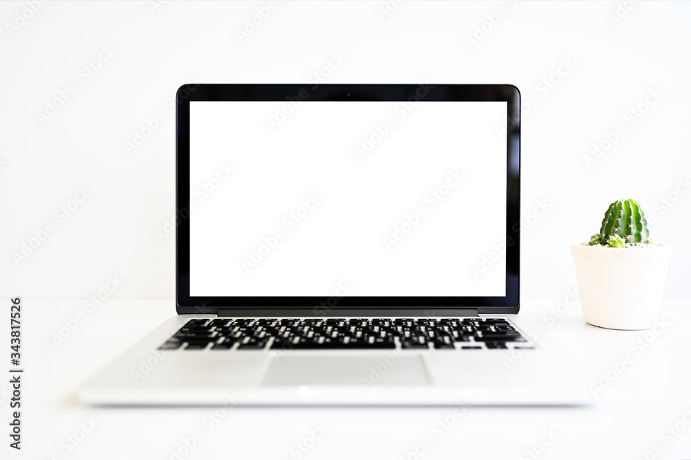 blank screen Modern laptop computer with mouse and cactus on wood table in office view backgrounds blank screen Modern laptop computer with mouse and cactus on wood table in office view backgrounds
