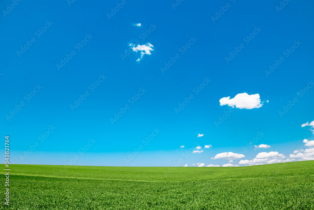 Fototapeta premium Meadow field with clouds and blue sky. Beautiful minimal summer landscape of the hills.