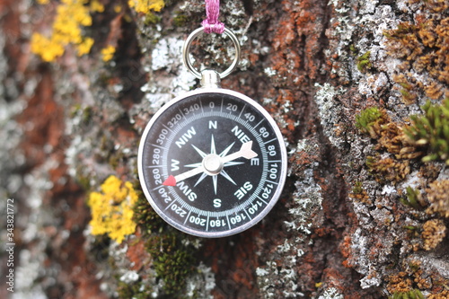 Old iron compass on tree in forest