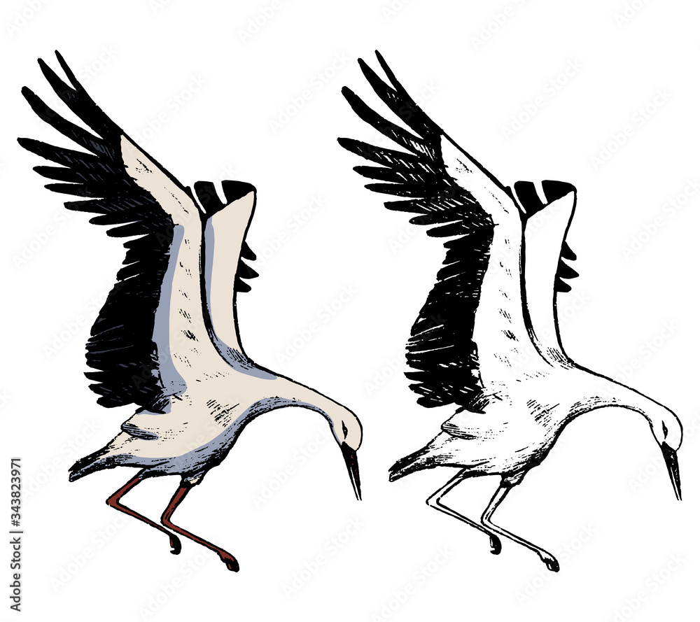 White Storks – James Nunn Art