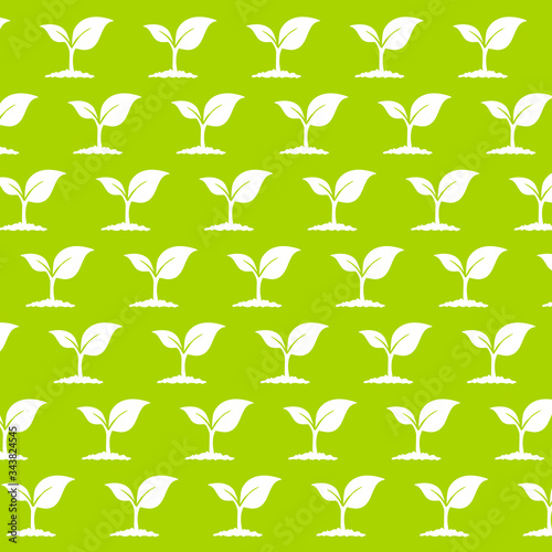 Pflanzen Muster
