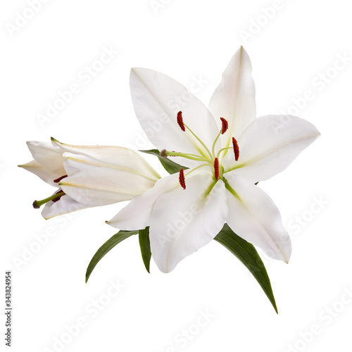 Bouquet of light lilies isolated on white background.