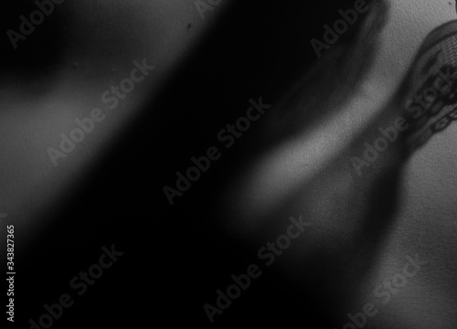 Bodyscape - body photography