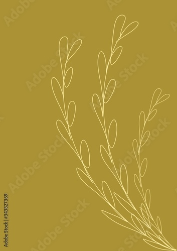 wheat ears vector illustration