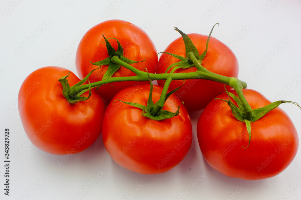 ripe fresh bunch red tomato on vine panoramic isolated on white background ripe fresh bunch red tomato on vine panoramic isolated on white background