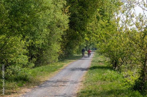 Wallpaper Mural Cycling highway on an old converted railway line in Bruges between the communities of Steenbrugge and Maldegem, Belgium. Torontodigital.ca