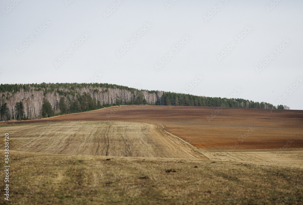 Obraz premium rural landscape with a field