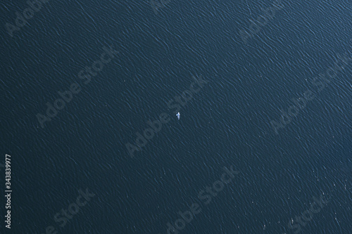 Surface of the sea, lake. A lone bird seagull flies. View from the plane photo