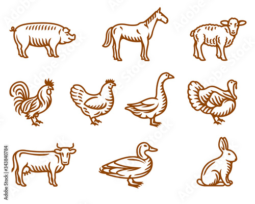 Set of farm animals and birds vector isolated illustrations for groceries, meat stores, restaurant menu