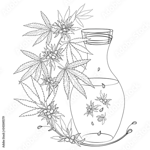 Outline Cannabis sativa or Cannabis indica or Marijuana bunch. CBD oil in bottle, leaf and seed in black isolated on white background. 