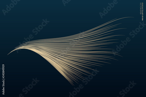 Abstract vector zen art by gold brush stroke look like wing isolated on dark teal blue background
