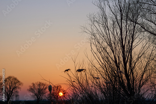 Foto Beautiful spring sunset on the river in early spring