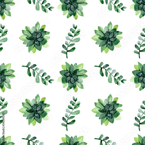 Seamless pattern of green flowers of succulent and eucalyptus branches on a white background. Delicate herbal print for clothes and textiles. Colorful botanical print with leaves. Summer print.