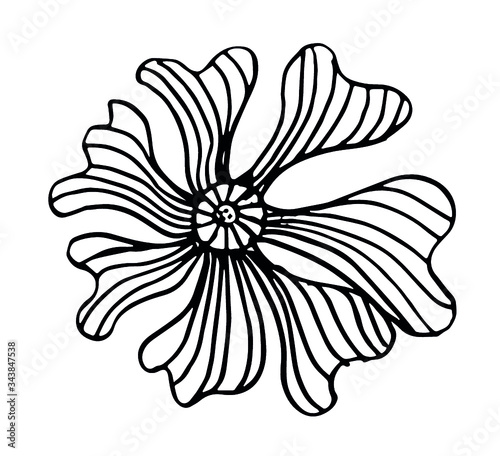 Zentangle floral flower hand drawing print embroidery graphic design vector art © a1vector