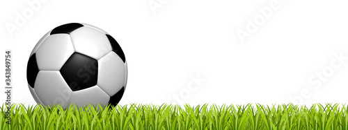 Soccer Ball On Green Grass Field - 3D Illustration With Copy Space - Isolated On White Background