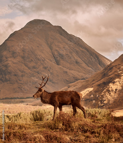 Scotland and Scottish highlands