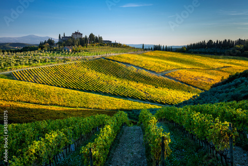 an autumn Chianti landscape in the San Donato in Perano area, close to Radda in Chianti
