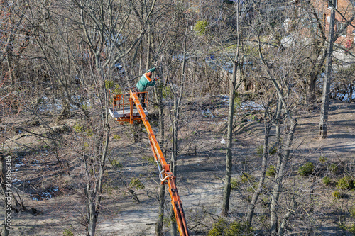 Worker cuts off the dry tree branches by chainsaw