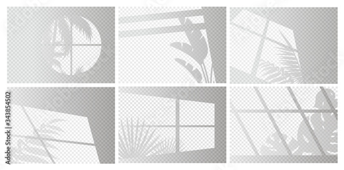 Window lights vector illustration set. Sunlight or shadow transparent overlay effect from window frames and tropical plant branch, palm tree leaves on room wall, ceiling or floor. Realistic background