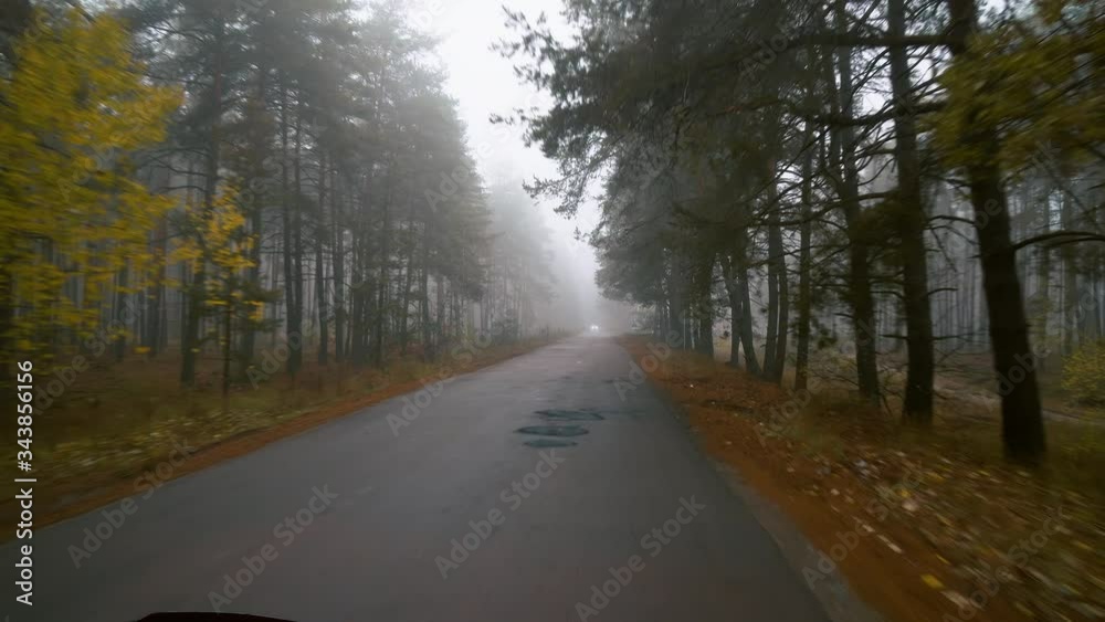 Autumn road in the fog, view from the car on the autumn road in the fog, Driving in the fog, Driving on a country road on a foggy autumn day Autumn road in the fog, view from the car on the autumn road in the fog, Driving in the fog, Driving on a country road on a foggy autumn day