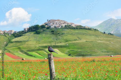 Castelluccio qualche anno fa photo