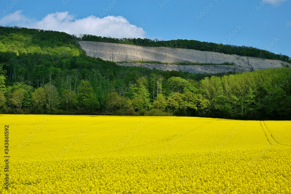 A quarry behind a bright yellow rape field