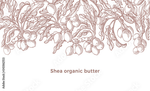 Photography Shi template. Vector karite tree. Art hand pattern