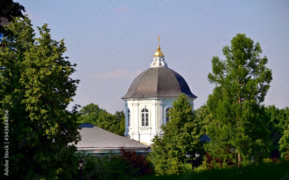 The dome of the Cathedral behind the trees The dome of the Cathedral behind the trees