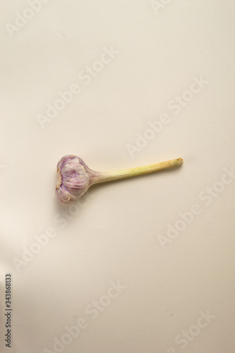 Young garlic with a stem on a light background. Vertical orientation. The concept of minimalism.