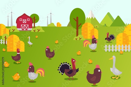Animal farm collection vector illustration. Hens, ducks, turkeys and chicks in farmland yard. Birds breeding in country, ecologicaly clean environment. Banner green grass and haystacks. photo