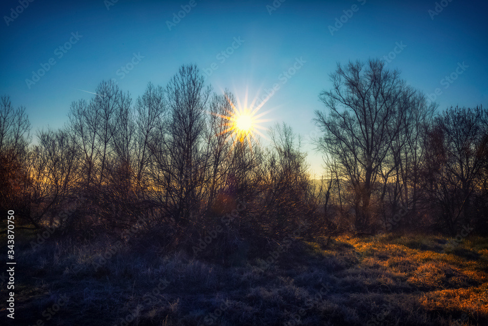 Paisaje natural con un amanecer frio, helado y con un color rojizo anaranjado por la salida del sol