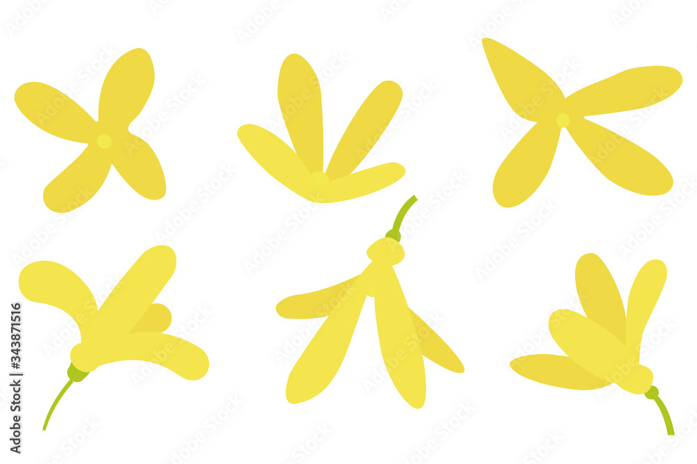 Forsythia spring yellow flowers set. Vector image on a white background. Flat style
