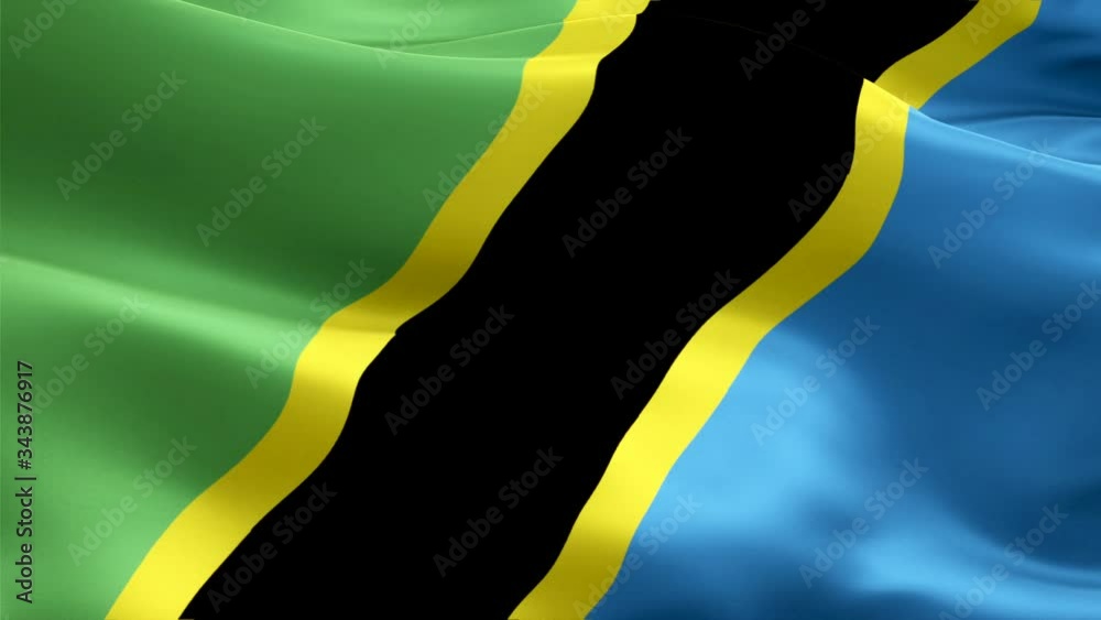 Tanzania waving flag. National 3d Tanzanian flag waving. Sign of Tanzania seamless loop animation. Tanzanian flag HD resolution Background. Tanzania flag Closeup 1080p Full HD video for presentation
