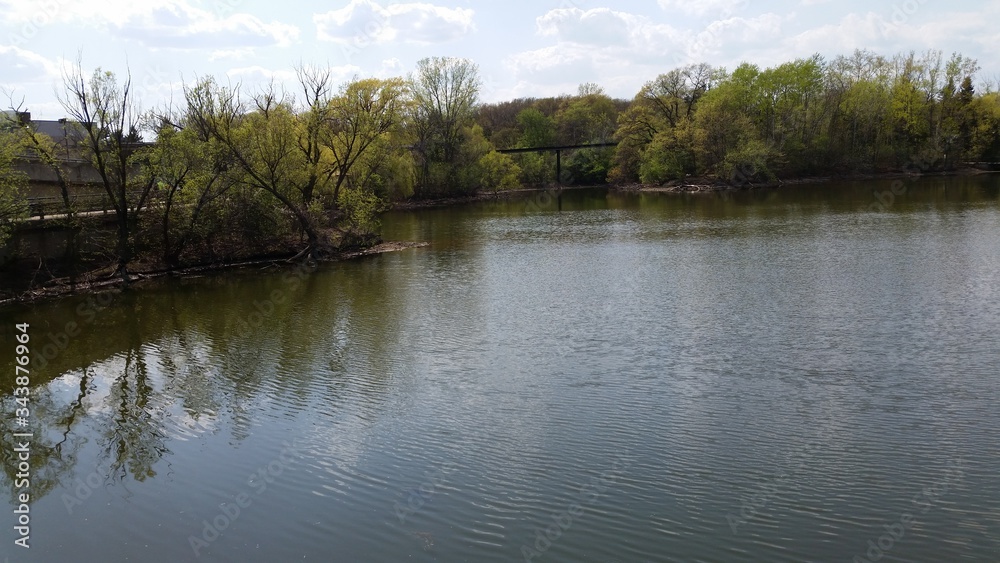 lake in the forest