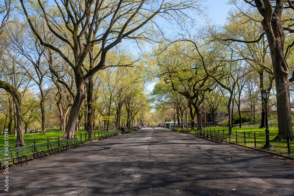 The Mall-Central Park, Manhattan, New York City in Spring The Mall-Central Park, Manhattan, New York City in Spring