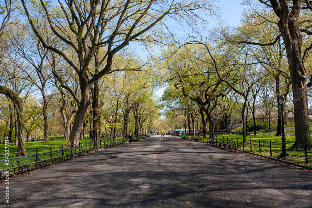 The Mall-Central Park, Manhattan, New York City in Spring