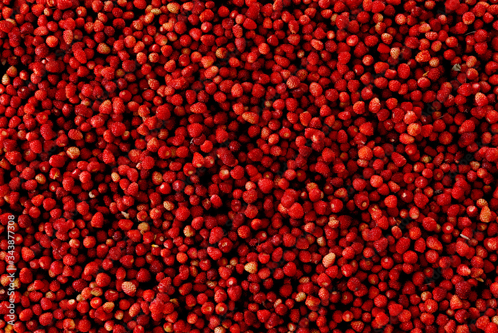 Scattering of ripe wild strawberries Scattering of ripe wild strawberries