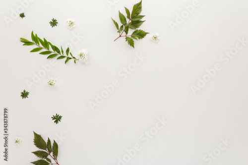 Minimal style photography. White flowers and green leaves , natural creative composition top view background with copy space for your text. Flat lay.