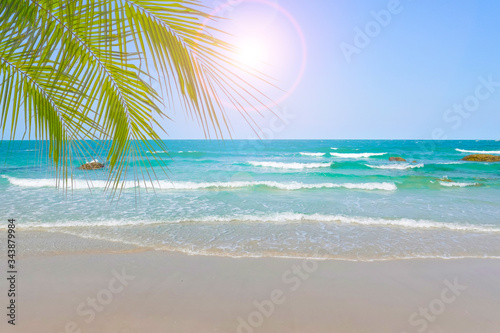 tropical beach with palm trees in the summer