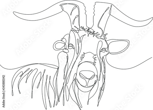 Fotografie, Tablou testa di capra disegnata a singola linea continua
