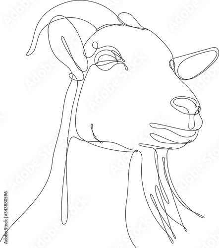 Illustrazione a linea continua del primo piano testa di capra.  Sondo bianco. 