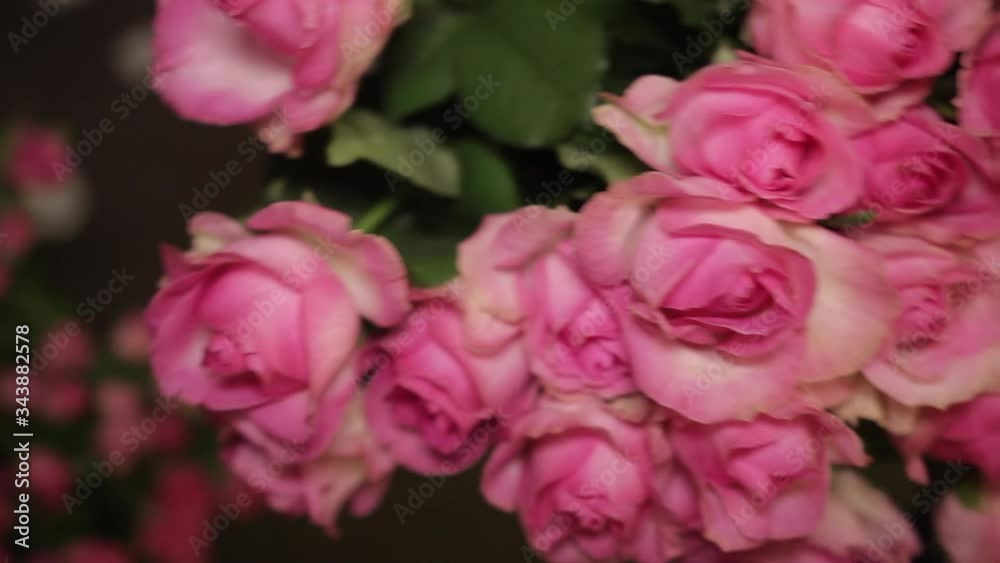 Two large bouquets of bright pink roses with green buds and leaves on brown background, close-up. Two large bouquets of bright pink roses with green buds and leaves on brown background, close-up.