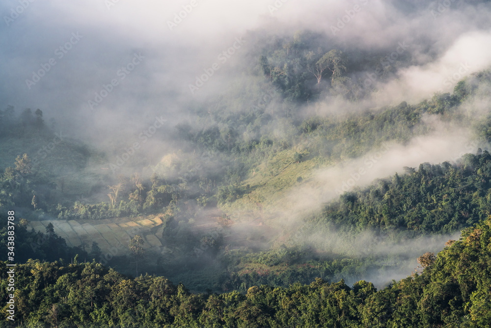 Panorama sea of fog with forests and mountains ridge and grass meadow around trails on the mountain. Beautiful in nature landscape, Doi Thule, Tak province, Thailand Panorama sea of fog with forests and mountains ridge and grass meadow around trails on the mountain. Beautiful in nature landscape, Doi Thule, Tak province, Thailand