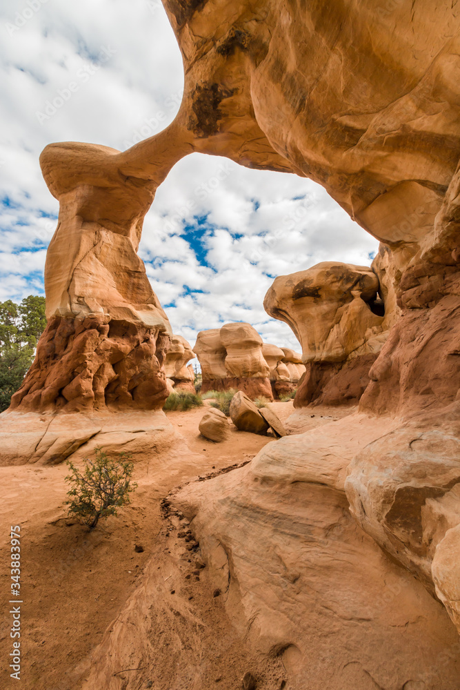 Metate Arch Stands Over the Landscape of Devils Rock Garden, Grand Staircase-Escalante  National Monument, Utah, USA
