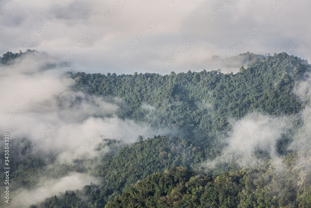 Panorama sea of fog with forests and mountains ridge and grass meadow around trails on the mountain. Beautiful in nature landscape, Doi Thule, Tak province, Thailand