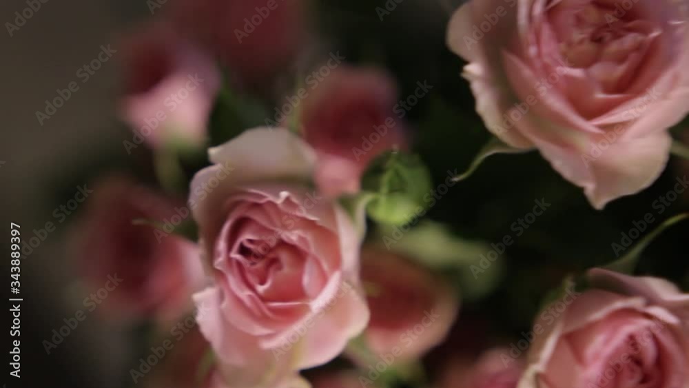 A large bouquet of bright pink roses with green buds and leaves, close-up. A large bouquet of bright pink roses with green buds and leaves, close-up.