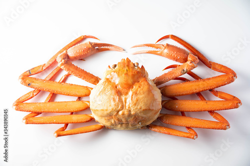 isolated snow crab on white background